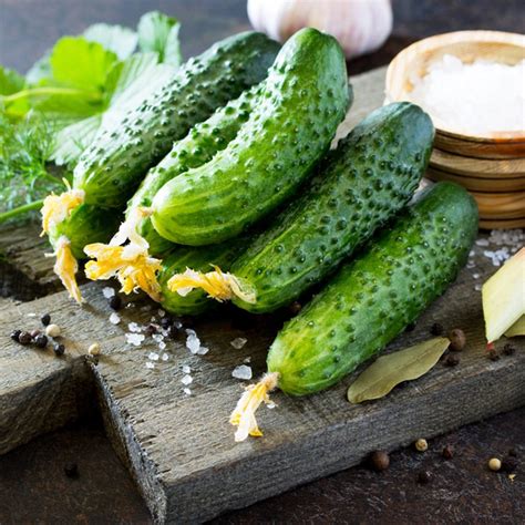 6 Popular Cucumber Varieties and How to Use Them