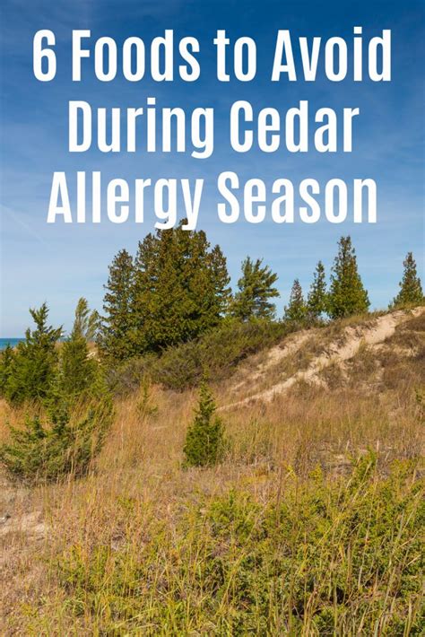 6 Foods You Should Avoid During Cedar Allergy Season - Green Oklahoma