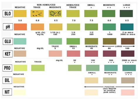 Sensors | Free Full-Text | Predictive System Implementation to Improve the Accuracy of Urine ...