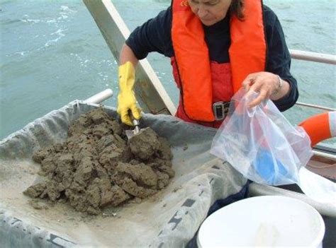 Sediment sampling