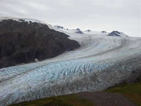 Have Book, Will Travel: Exit Glacier and Harding Icefield in Seward, Alaska