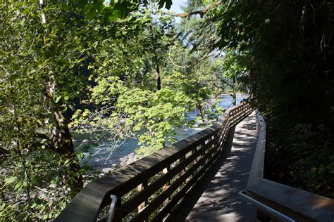 Snoqualmie Falls Hike: What to Know Before You Go!