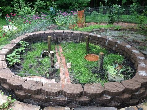 outdoor enclosure | Bruce..Kevin's Russian Tortoise | Pinterest