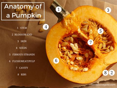 How To Buy & Store Pumpkins For Cooking + Pumpkin Recipes | Pumpkin recipes, Cooking pumpkin ...