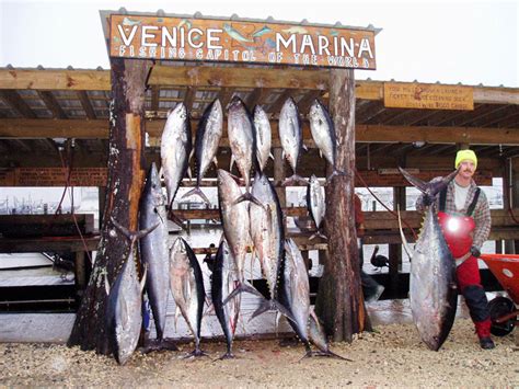 Red Eye Charters - Venice, LA Fishing