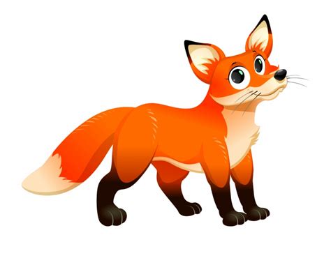 Animated Fox Png