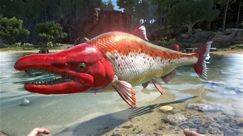 Sabertooth Salmon - Official ARK: Survival Evolved Wiki