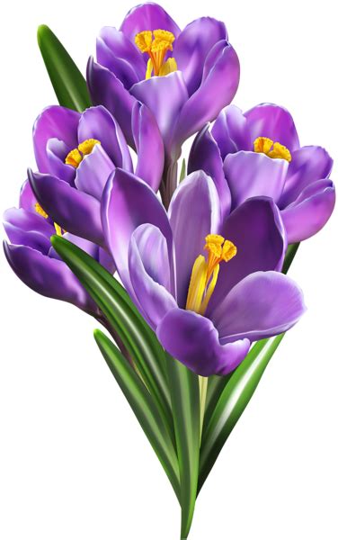 https://gallery.yopriceville.com/Free-Clipart-Pictures/Flowers-PNG ...