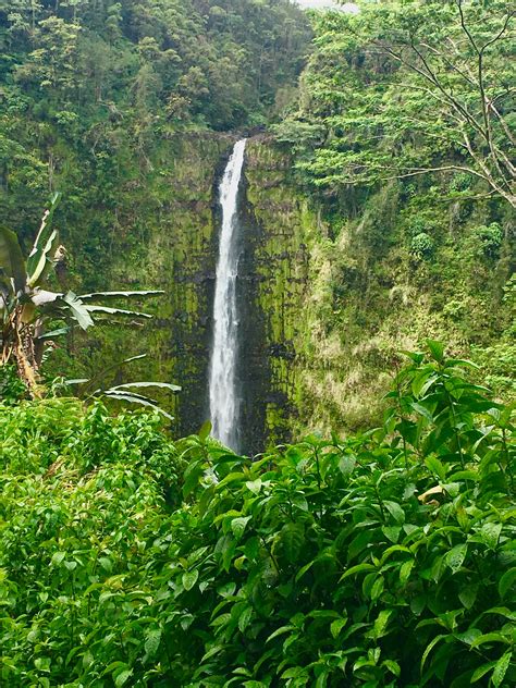 Akaka Falls | Outdoor, Waterfall, Water