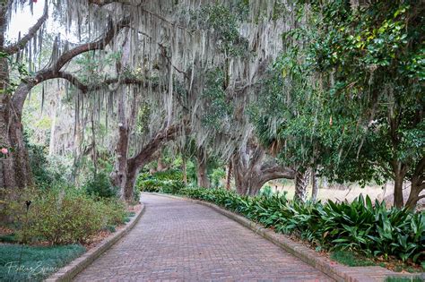 Alfred B. Maclay Gardens State Park - Go Wandering