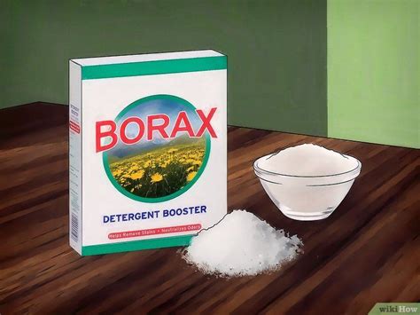 Sugar Ants In House Borax - Sexy home