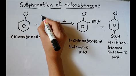 Sulphonation of chlorobenzene|| class 11&12 - YouTube