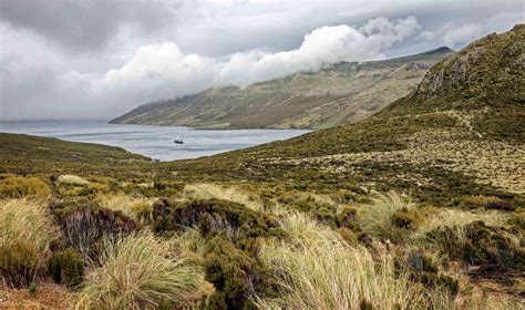 A Complete Guide New Zealand's Subantarctic Islands