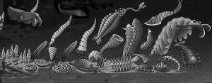 Cambrian Fossils