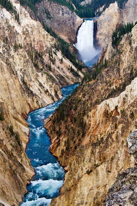 Grand Canyon Of Yellowstone Photograph by Bill Gallagher