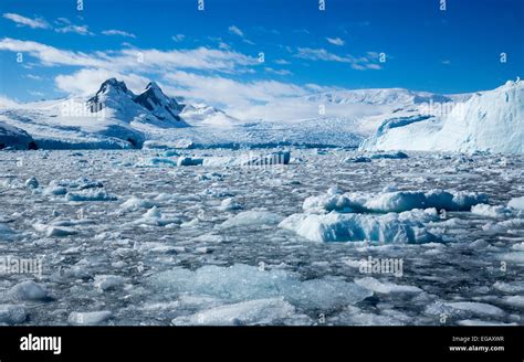 brash ice, icebergs, glaciers and mountains, Cierva Cove, Antarctica Stock Photo - Alamy