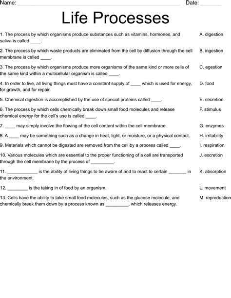 Life Processes Class 10 Worksheets