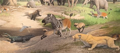 Pliocene Mammals