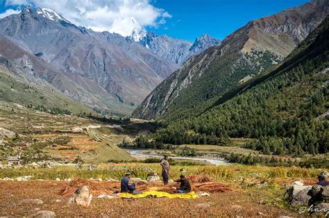 Camping in Sangla | Sangla Valley Tours | Kinner Camps