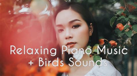 [Try This For 10 Mins] Relaxing Piano Music + Bird Sounds ~ Studying Music, Stress Relief ...