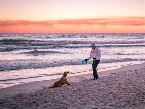 10+ Best Pet-Friendly Beaches in Florida (2022 Guide) – Trips To Discover