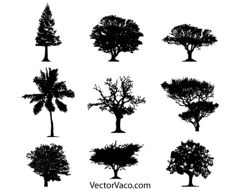 Tree Silhouette Vector Free Download | Tree silhouette, Silhouette ...