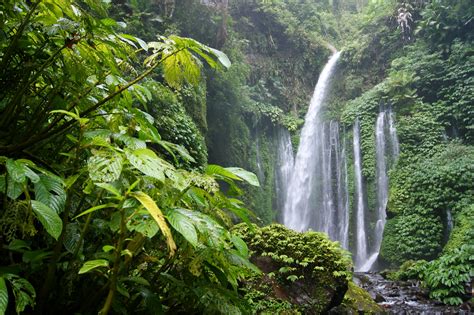 tropics, Forests, Waterfalls, Jungle, Nature Wallpapers HD / Desktop ...