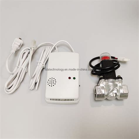 Wall-Mounted Gas Alarm Detector Natural Gas Alarm Home Flammable Gas ...