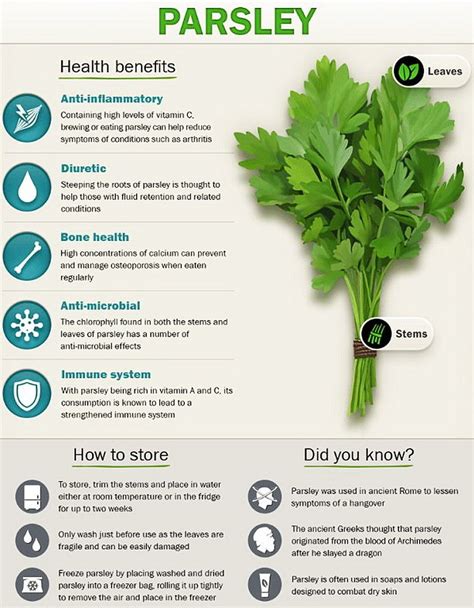 Parsley Nutrition And Why It's Far More Than Just A Garnish