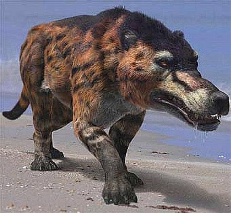 Andrewsarchus was a relative of the whale even though it looks like a ...