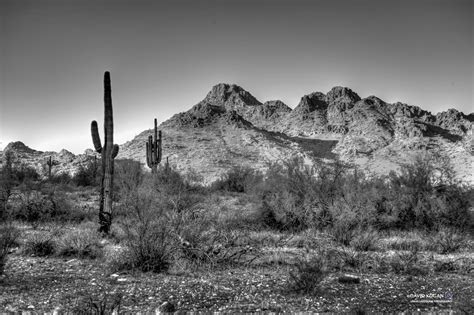 Phoenix Mountain Preserve - David Kogan - Professional Chicago Photographer