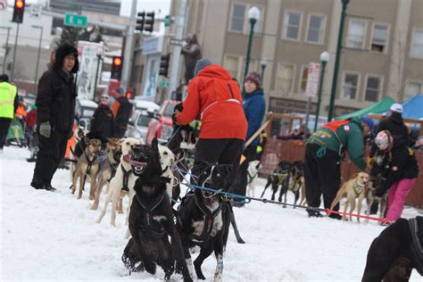 Fur Rondy's sled dog sprint races draw a large crowd to downtown ...