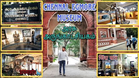 Government Museum, Chennai Tamil Nadu || Egmore Museum Chennai ...