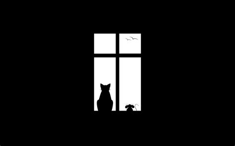 Funny Mice and Cat Looking Window Wallpapers HD / Desktop and Mobile ...