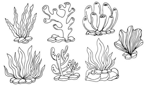 Underwater Vector Art, Icons, and Graphics for Free Download