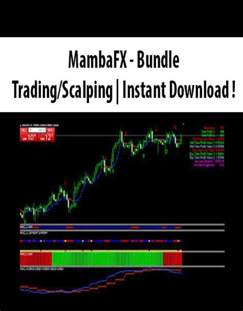 MambaFX â€“ Bundle â€“ TradingScalping - The Course Arena