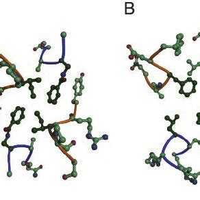 Tetrameric structure of peptide 1 . ( A ) Ribbon diagram of tetramer ...