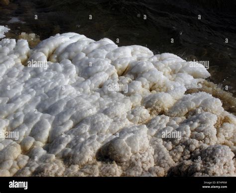 Salt Crystals, Lake Assal. Lowest place in Africa and Saltiest Place on ...