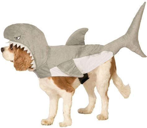 Top 10 Small Dog Shark Costume - Home Preview