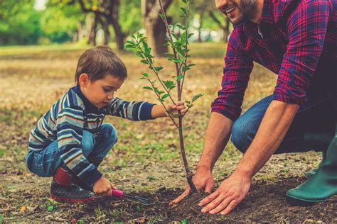 Benefits of Planting Trees for Children and Students