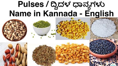 Grains And Pulses Names In English, Hindi, Kannada, Telugu, 57% OFF