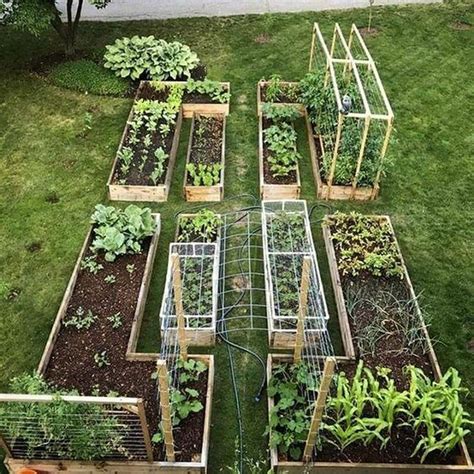 17 Beginner Vegetable Garden Layout Ideas You Should Look | SharonSable