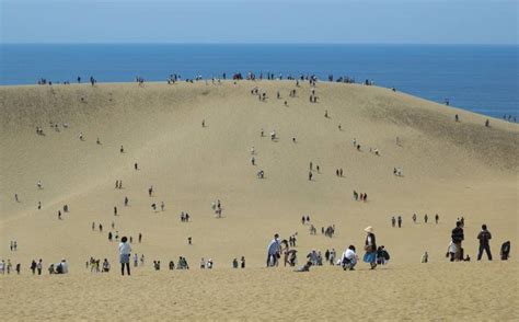 Desert Adventures: Visiting Japan's Tottori Sand Dunes | Japan Cheapo