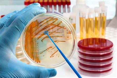 Microbiological Testing Lab | NJ Labs