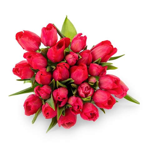 BloomsyBox Radiant Red Tulips Bouquet | Bloomingdale's