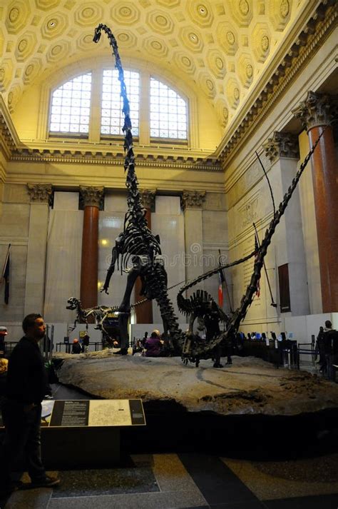 Dinosaur Skeleton, Metropolitan Museum of Art, Manhattan, New York ...