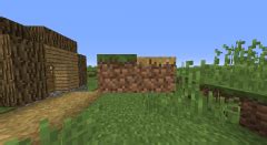 Grass Path – Official Minecraft Wiki