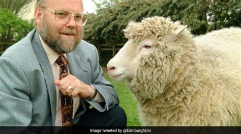 The Pioneering Scientist Who Cloned Sheep Dies. Know What Happened - The WFY