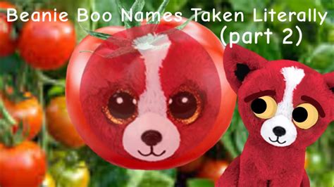 Beanie Boo Names Taken Literally 🤣 (part 2) - YouTube