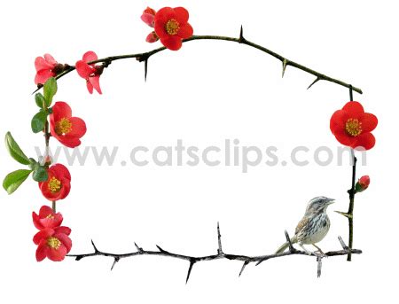 Quince Sparrow Animated GIF Border